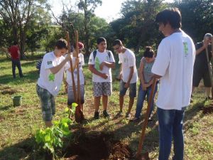 Quinta-Feira 07/04